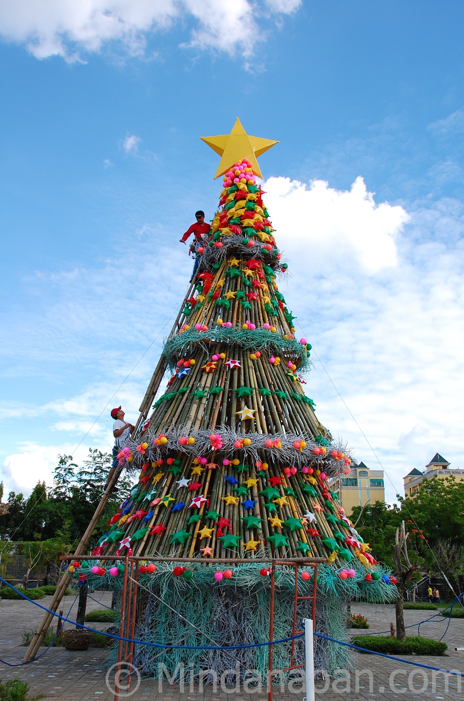Giant Christmas Tree at People's Park Davao City