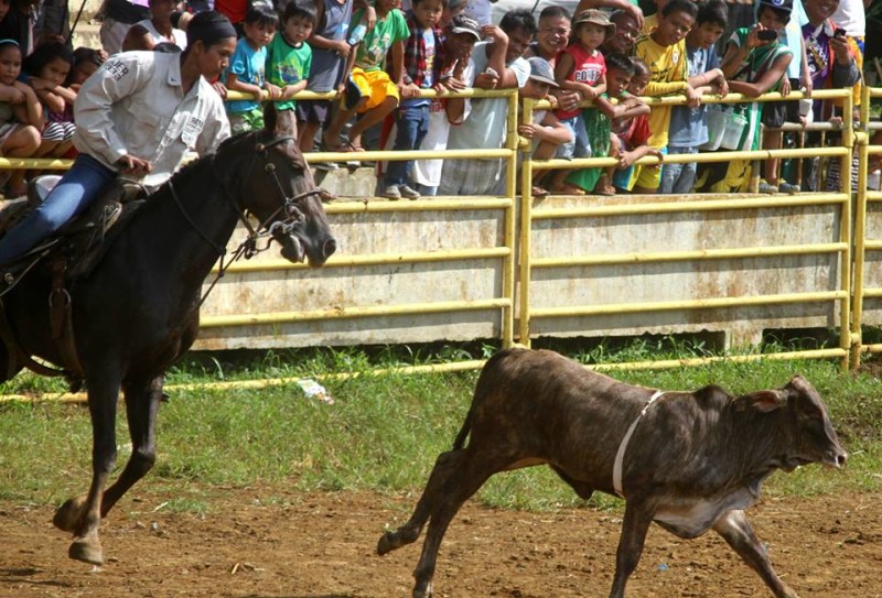 kaamulan-bukidnon-rodeo-2014