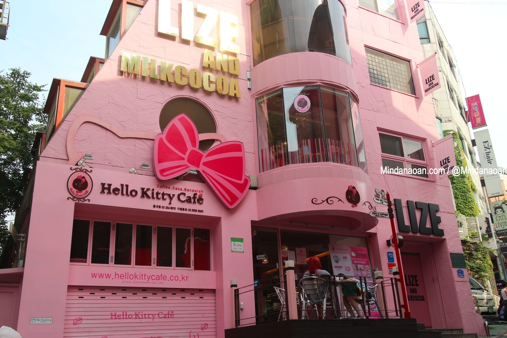 Mindanaoan In Korea Travel Series: Hello Kitty Cafe and Cats Living Cat Cafe Hongdae