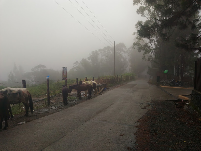 foggy bukidnon