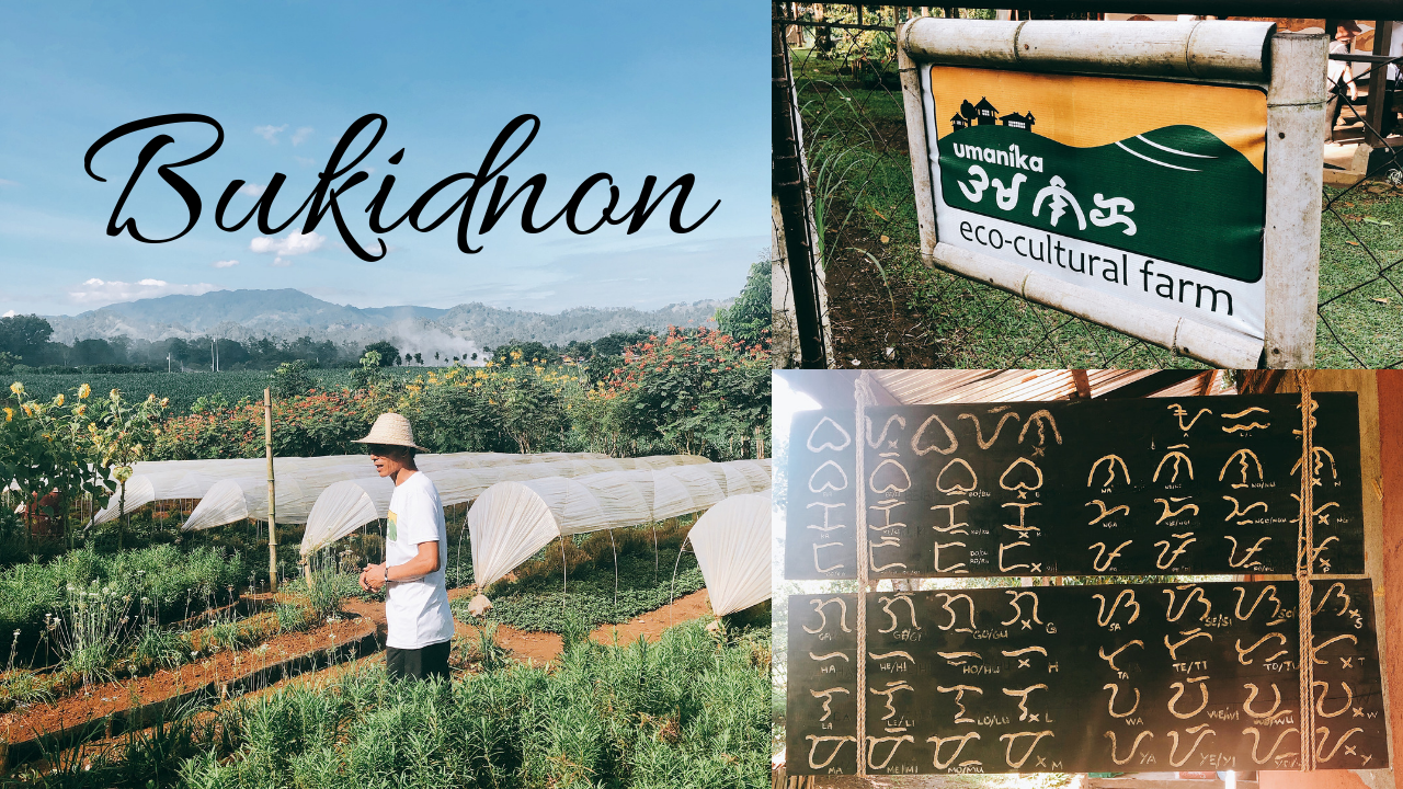 Tea, herb lovers will love this fascinating eco-cultural farm in Bukidnon