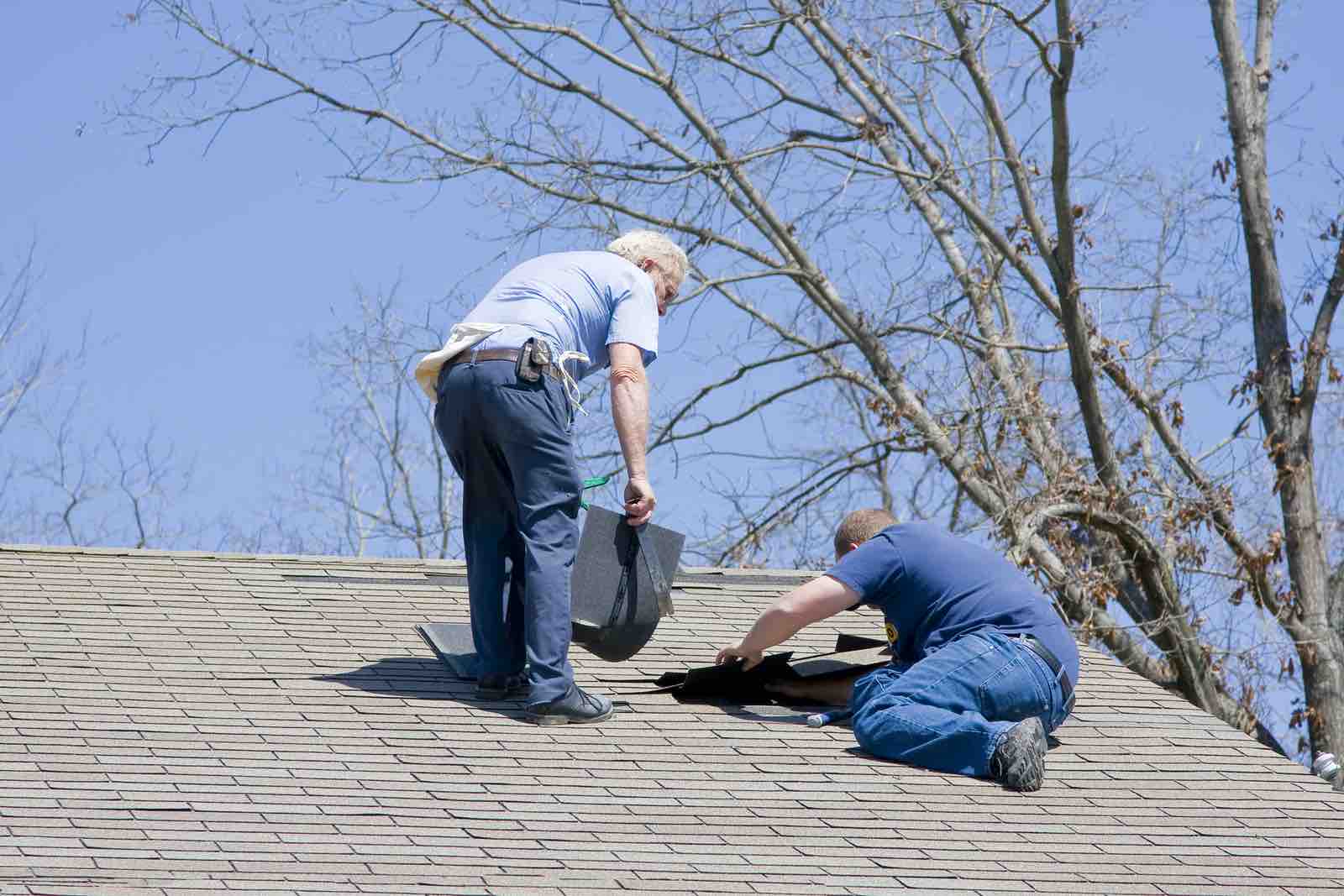 roof-inspector